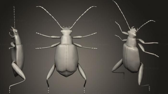 Insects (Leaf Beetle, INSCT_0018) 3D models for cnc
